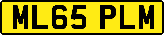 ML65PLM