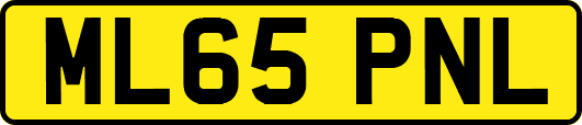 ML65PNL