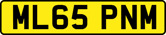 ML65PNM