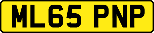 ML65PNP