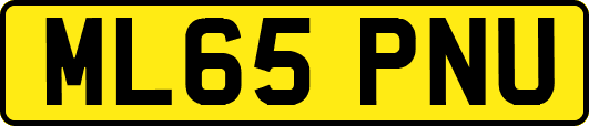 ML65PNU