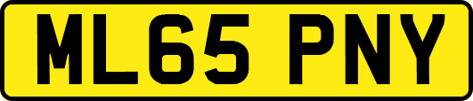 ML65PNY