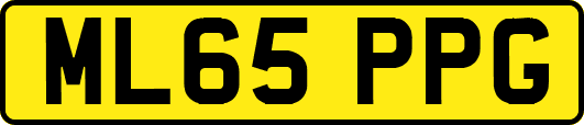 ML65PPG