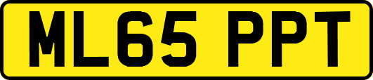 ML65PPT