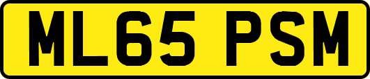 ML65PSM