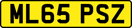 ML65PSZ