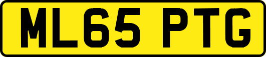 ML65PTG