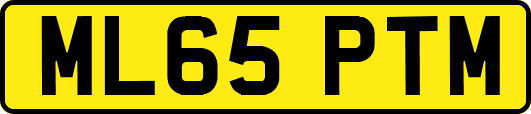 ML65PTM