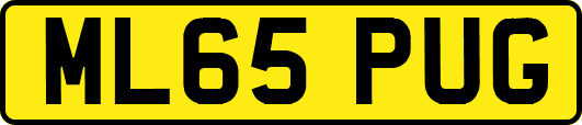 ML65PUG