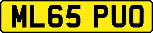 ML65PUO