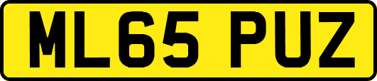 ML65PUZ