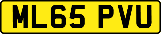 ML65PVU