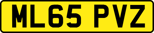 ML65PVZ