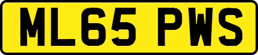 ML65PWS