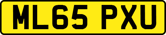 ML65PXU