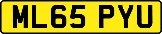 ML65PYU