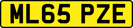 ML65PZE