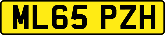 ML65PZH