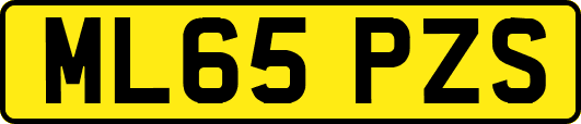 ML65PZS