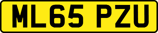 ML65PZU