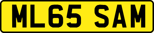 ML65SAM