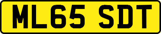 ML65SDT
