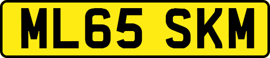 ML65SKM