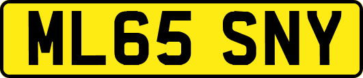 ML65SNY