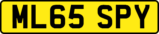 ML65SPY
