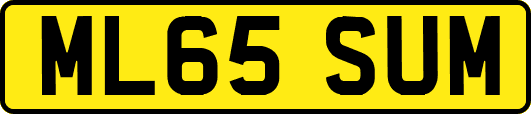ML65SUM