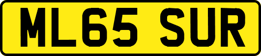 ML65SUR