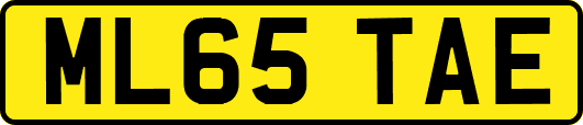 ML65TAE