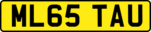 ML65TAU