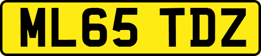 ML65TDZ