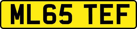 ML65TEF