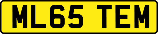 ML65TEM