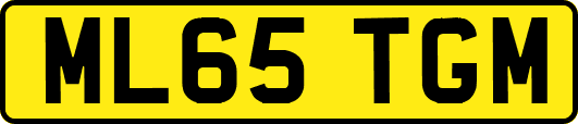 ML65TGM