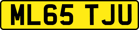 ML65TJU