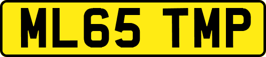 ML65TMP