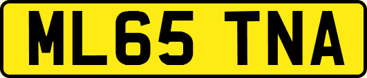 ML65TNA