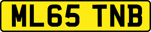 ML65TNB