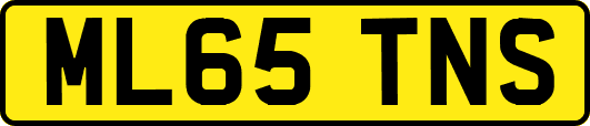 ML65TNS