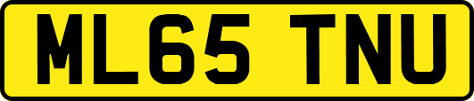 ML65TNU