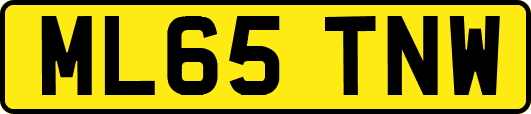 ML65TNW