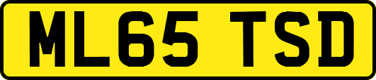 ML65TSD