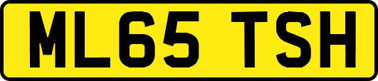 ML65TSH