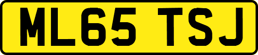 ML65TSJ