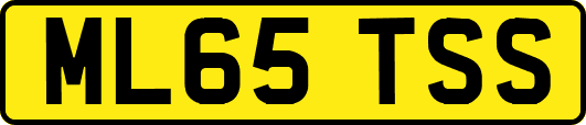 ML65TSS