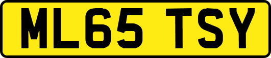 ML65TSY