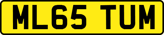 ML65TUM
